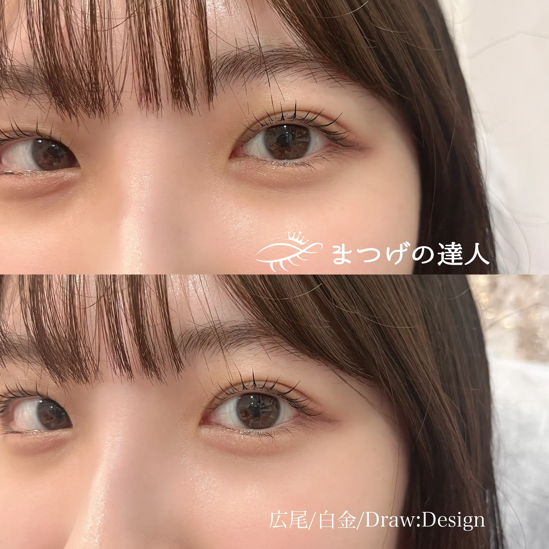 まつげの達人　検索を